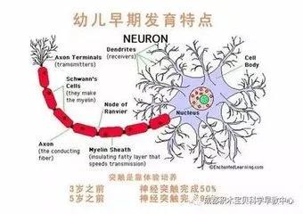 1539154953983190.jpg 微信圖片_20181010145925.jpg